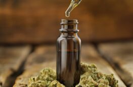 Cannabis Tinctures