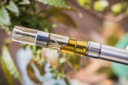 cannabis vaporizers